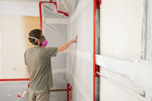 Best Mold Documentation for Insurance Claims  in Pine Mountain Clu, CA